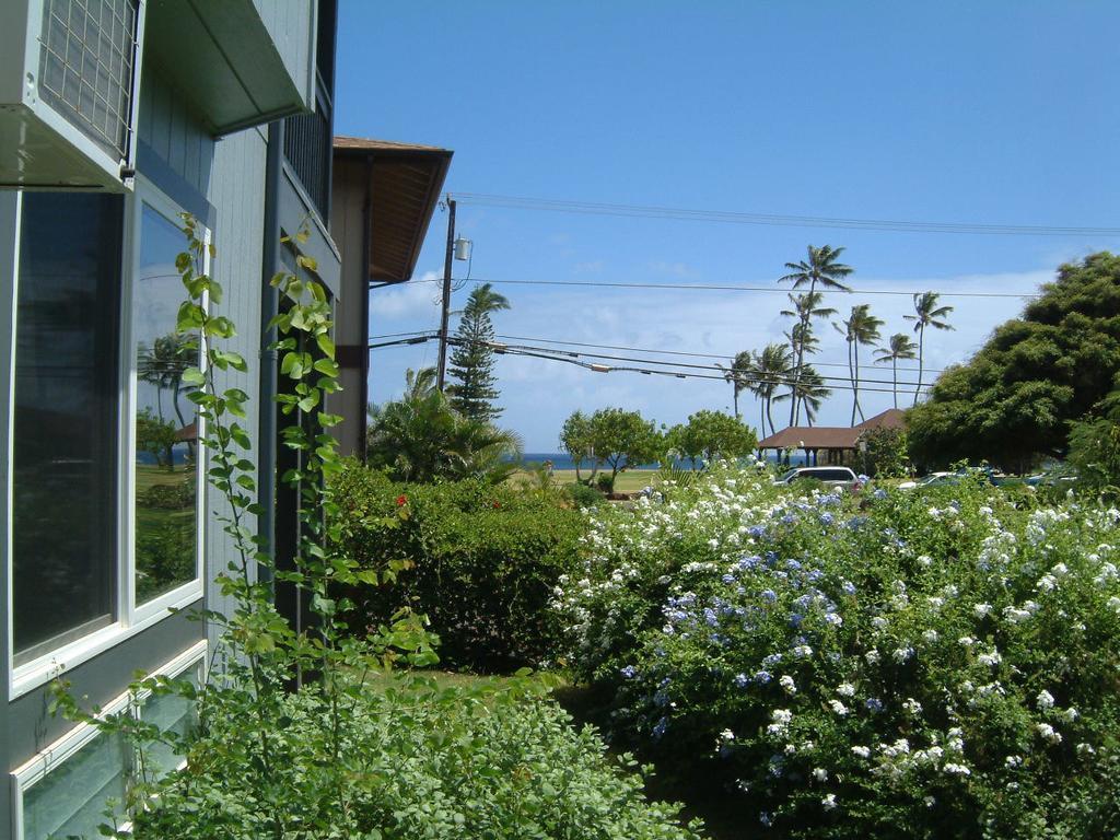 Hale Pua Villa - Seaside Studio Koloa Luaran gambar